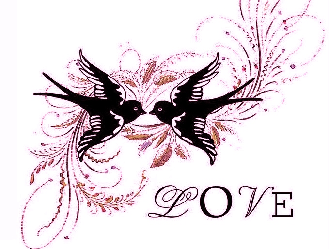 amitié_hirondellina (3)