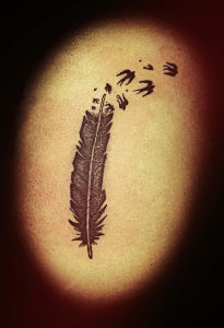 aveu_hirondellina (19)