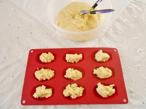 madeleines_hirondellina (600x450)