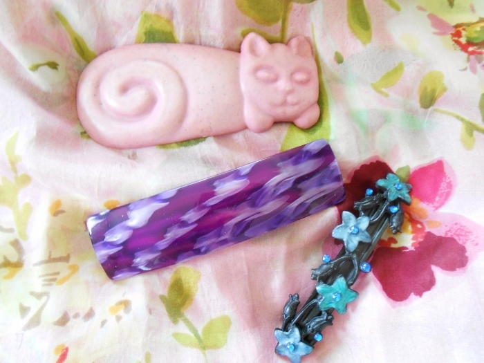 barettes hirondellina (700x525)