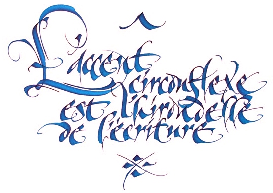 accent circonflexe hirondelle