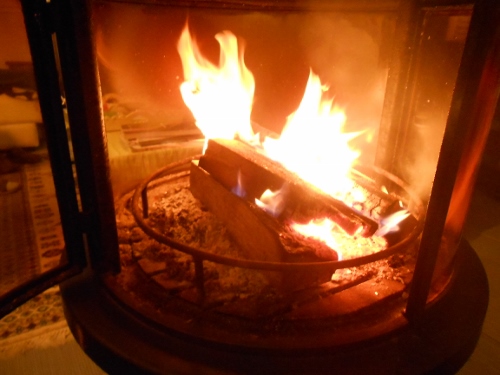 feu hirondellina (500x375)