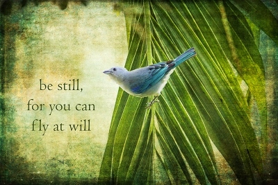 palm tree bird (400x267)