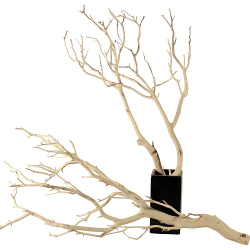 branches Manzanita (500x500)