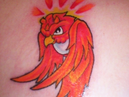 hirondelle mauvaise humeur (450x338)