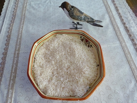 I RIZ (450x338)