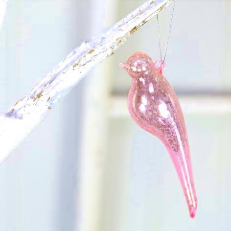 l'hirondelle de noel